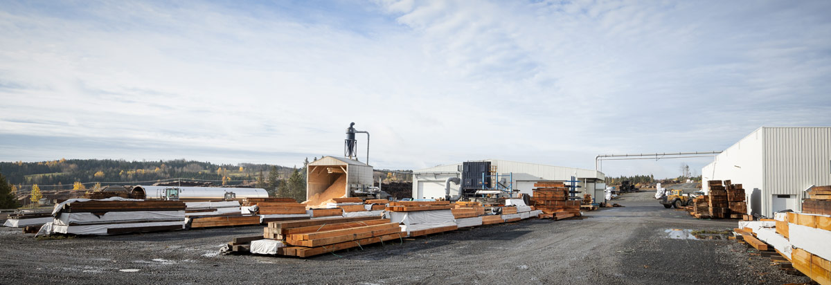 Dorval Timber's mill in Gatineau with a wide selection of timber