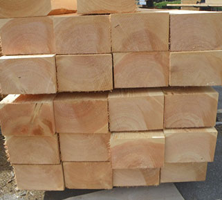 Dorval Timber - Timber Species